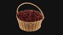 Cherries in Basket