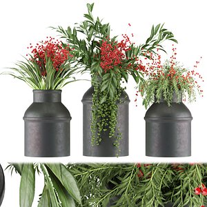 Collection plant vol 45 3D model