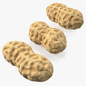 3D peanuts nut model
