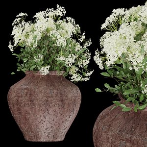 3D Collection plant vol 175