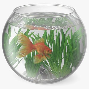 Round Aquarium with GoldFish 3D model