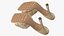 Womens Shoes Collection