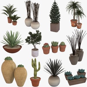 3D potted plants 1
