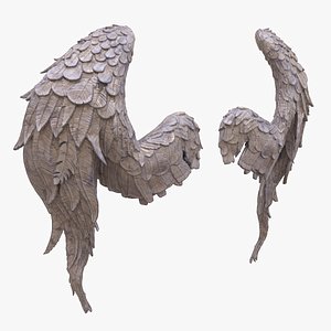 3D wings