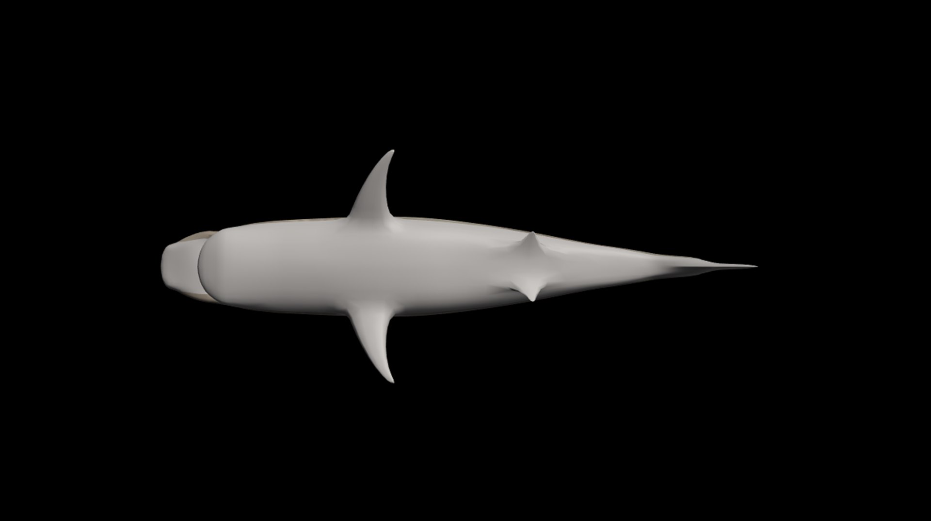 Shark 3D Model - TurboSquid 2285984