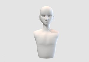 3D manly cartoon torso model
