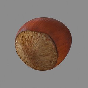 Hazelnut