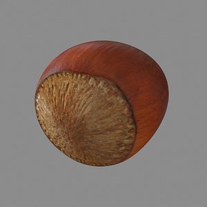 Hazelnut