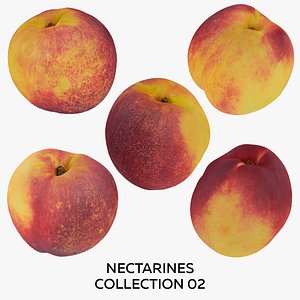 3D model Nectarines Collection 02 - 5 models RAW Scans