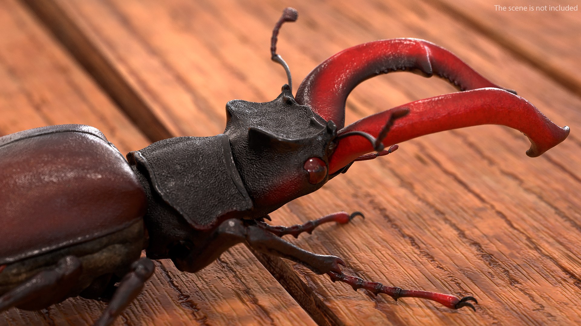 Rigged Flying Insects Collection 4 for Cinema 4D model https://p.turbosquid.com/ts-thumb/RM/uDghOn/2x/rigged_flying_insects_collection_4_056/jpg/1723444999/1920x1080/fit_q87/40e9528f49a5d7b0c3b3e1f71ef2ef0783b892d7/rigged_flying_insects_collection_4_056.jpg