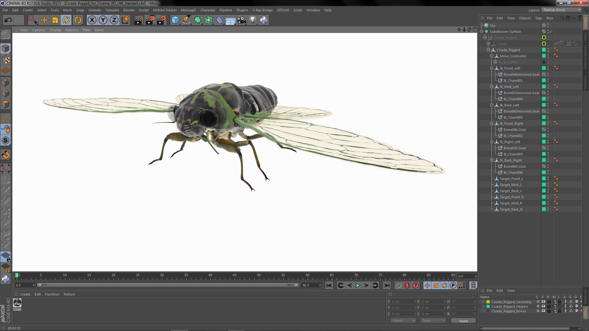 Rigged Flying Insects Collection 4 for Cinema 4D model https://p.turbosquid.com/ts-thumb/RM/uDghOn/8k/rigged_flying_insects_collection_4_for_cinema_4d_029/jpg/1723447893/1920x1080/fit_q87/5972525104ccfbef47e5ed5bab4c242c89b67a73/rigged_flying_insects_collection_4_for_cinema_4d_029.jpg