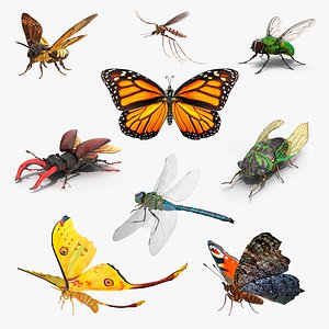 Rigged Flying Insects Collection 4 for Cinema 4D model
