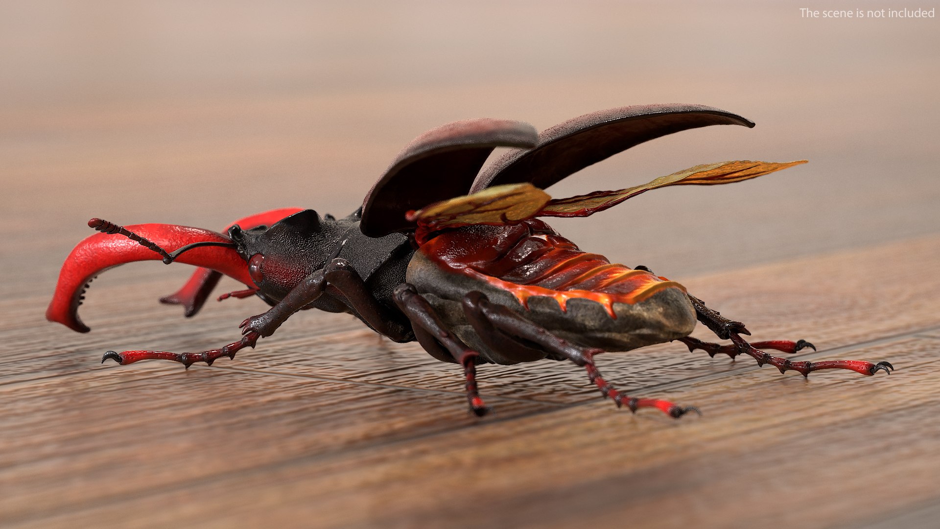Rigged Flying Insects Collection 4 for Cinema 4D model https://p.turbosquid.com/ts-thumb/RM/uDghOn/Ox/rigged_flying_insects_collection_4_058/jpg/1723445008/1920x1080/fit_q87/883691b2225b113640a7137a5c84f5ea716d50e7/rigged_flying_insects_collection_4_058.jpg