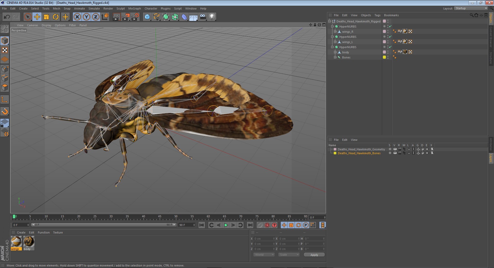 Rigged Flying Insects Collection 4 for Cinema 4D model https://p.turbosquid.com/ts-thumb/RM/uDghOn/nL/rigged_flying_insects_collection_4_for_cinema_4d_006/jpg/1723447880/1920x1080/fit_q87/1dfeb708aca7075f1a2ec4d18e1aa4df9676e120/rigged_flying_insects_collection_4_for_cinema_4d_006.jpg