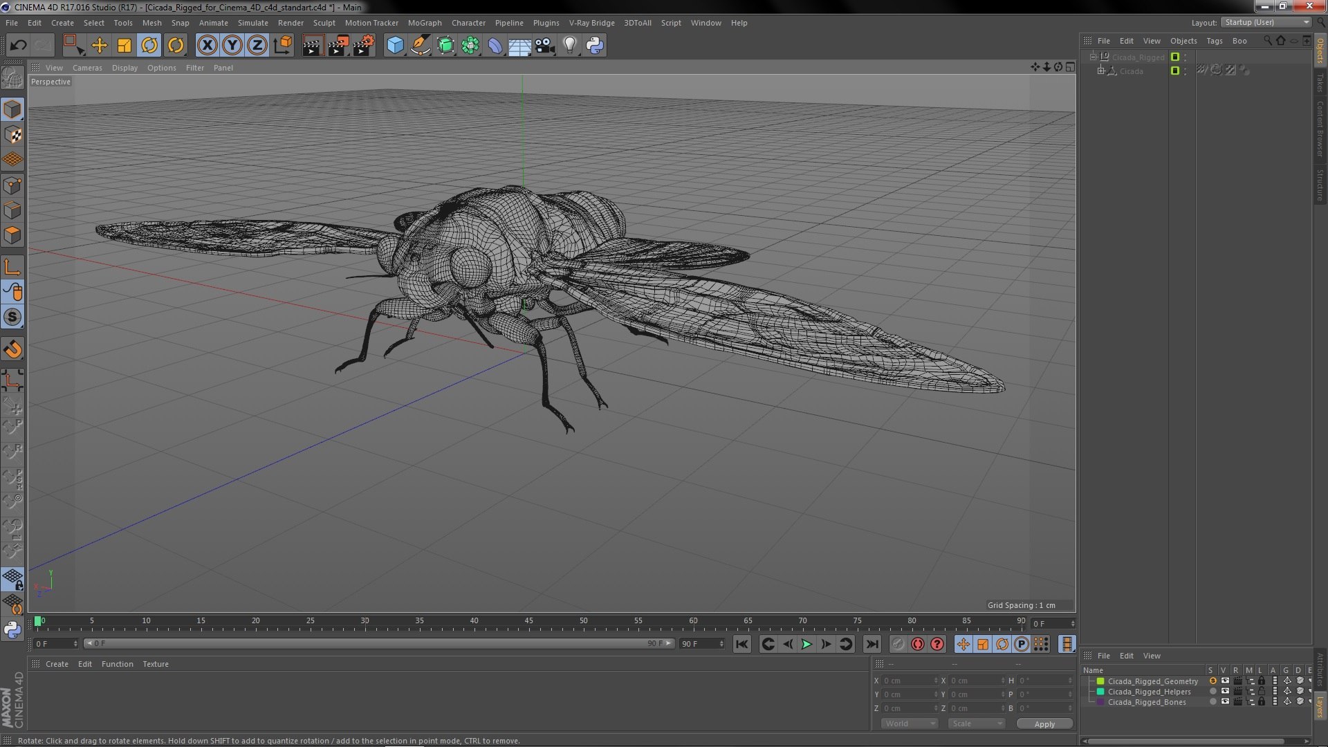 Rigged Flying Insects Collection 4 for Cinema 4D model https://p.turbosquid.com/ts-thumb/RM/uDghOn/rA/rigged_flying_insects_collection_4_for_cinema_4d_028/jpg/1723447893/1920x1080/fit_q87/3709d3ae53b11e8bd09bd6e66773d6128dc6b5e8/rigged_flying_insects_collection_4_for_cinema_4d_028.jpg