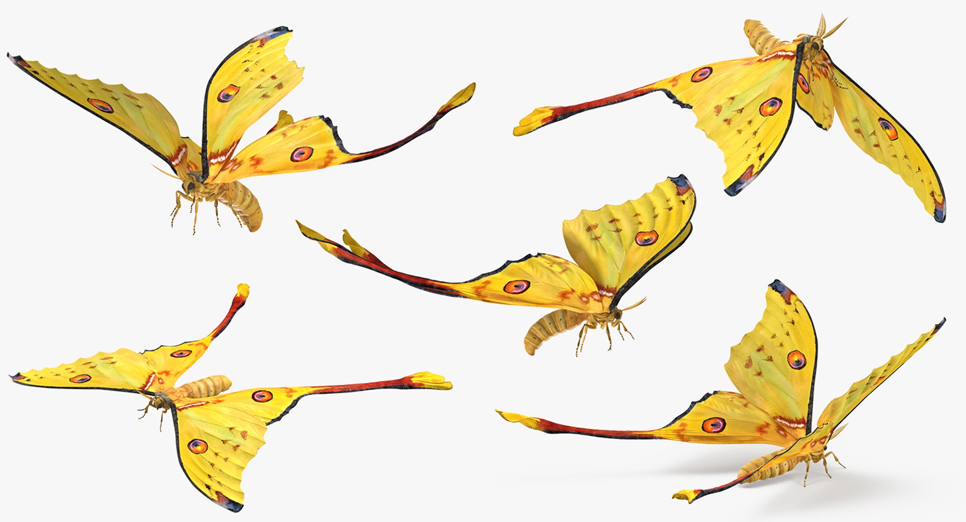 Rigged Flying Insects Collection 4 for Cinema 4D model https://p.turbosquid.com/ts-thumb/RM/uDghOn/yM/rigged_flying_insects_collection_4_090/jpg/1723445200/1920x1080/fit_q87/05f50e23d6e7a3996bb5f98b9efd16355a9bc135/rigged_flying_insects_collection_4_090.jpg