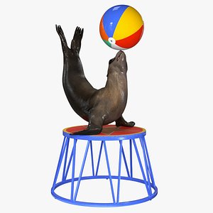 Seal on a Circus Stand 3D model