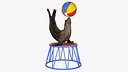 Seal on a Circus Stand