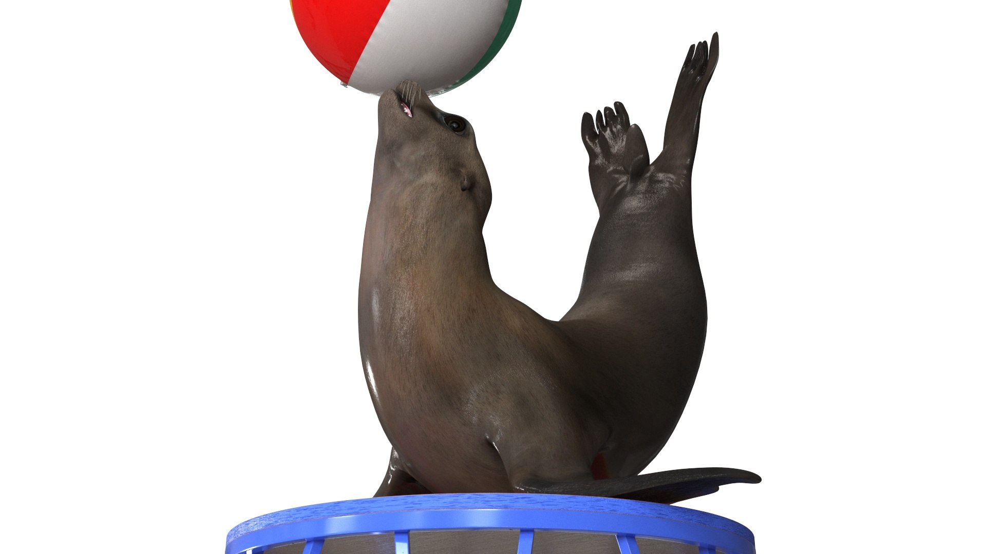 Seal on a Circus Stand 3D model https://p.turbosquid.com/ts-thumb/RM/uFDwvi/cg/sealonacircusstandmb3dmodel008/jpg/1728335846/1920x1080/fit_q87/5d74e0122a54b037bdde017da1180c74439d9da1/sealonacircusstandmb3dmodel008.jpg