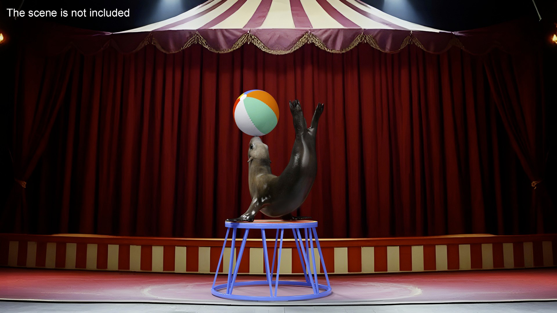Seal on a Circus Stand 3D model https://p.turbosquid.com/ts-thumb/RM/uFDwvi/l1/sealonacircusstandmb3dmodel002/jpg/1728335824/1920x1080/fit_q87/1915bba2685524db8fae46ce7a982e5ca402fffc/sealonacircusstandmb3dmodel002.jpg