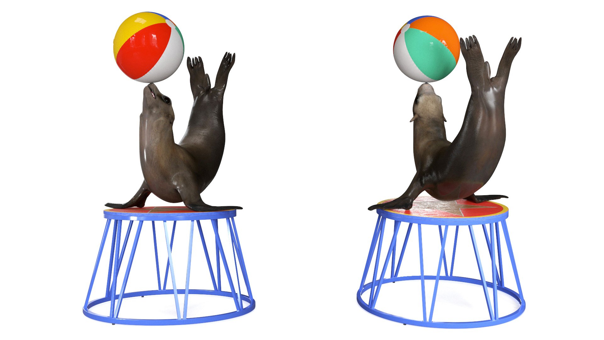 Seal on a Circus Stand 3D model https://p.turbosquid.com/ts-thumb/RM/uFDwvi/wg/sealonacircusstandmb3dmodel006/jpg/1728335839/1920x1080/fit_q87/0708953e38f85daf98819e582680e41559443539/sealonacircusstandmb3dmodel006.jpg