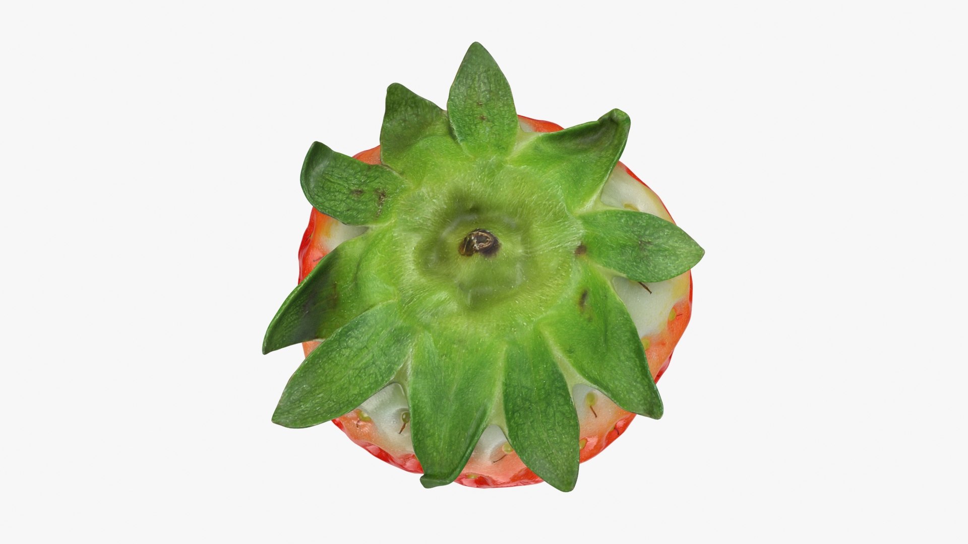 Strawberry 3D https://p.turbosquid.com/ts-thumb/RN/GdCyYh/QV/strawberry03_b0012/jpg/1714337349/1920x1080/fit_q87/a4ba6ac9157b63b7e9256afb7b8dc9d3e8677ffa/strawberry03_b0012.jpg