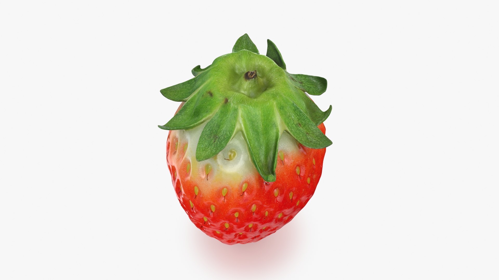Strawberry 3D https://p.turbosquid.com/ts-thumb/RN/GdCyYh/kh/strawberry03_b0014/jpg/1714337348/1920x1080/fit_q87/cae2b07618fdfdbbd8f391f639909b9ea53c8ec2/strawberry03_b0014.jpg