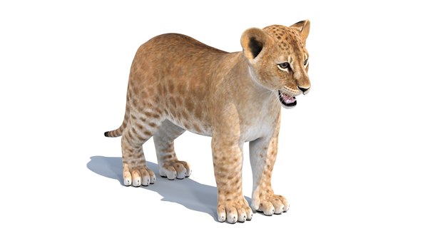 Lion modeled 3D - TurboSquid 1402264