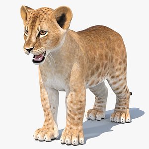 lion modeled 3D