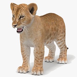 lion modeled 3D