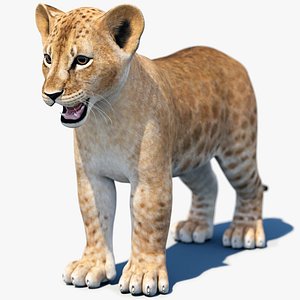 lion modeled 3D