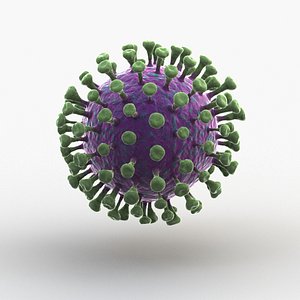 3D novel coronavirus