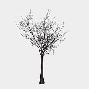 Horror Tree