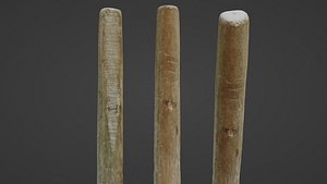 3D Wooden Stick