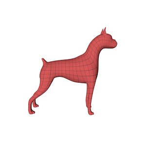 base mesh boxer dog obj