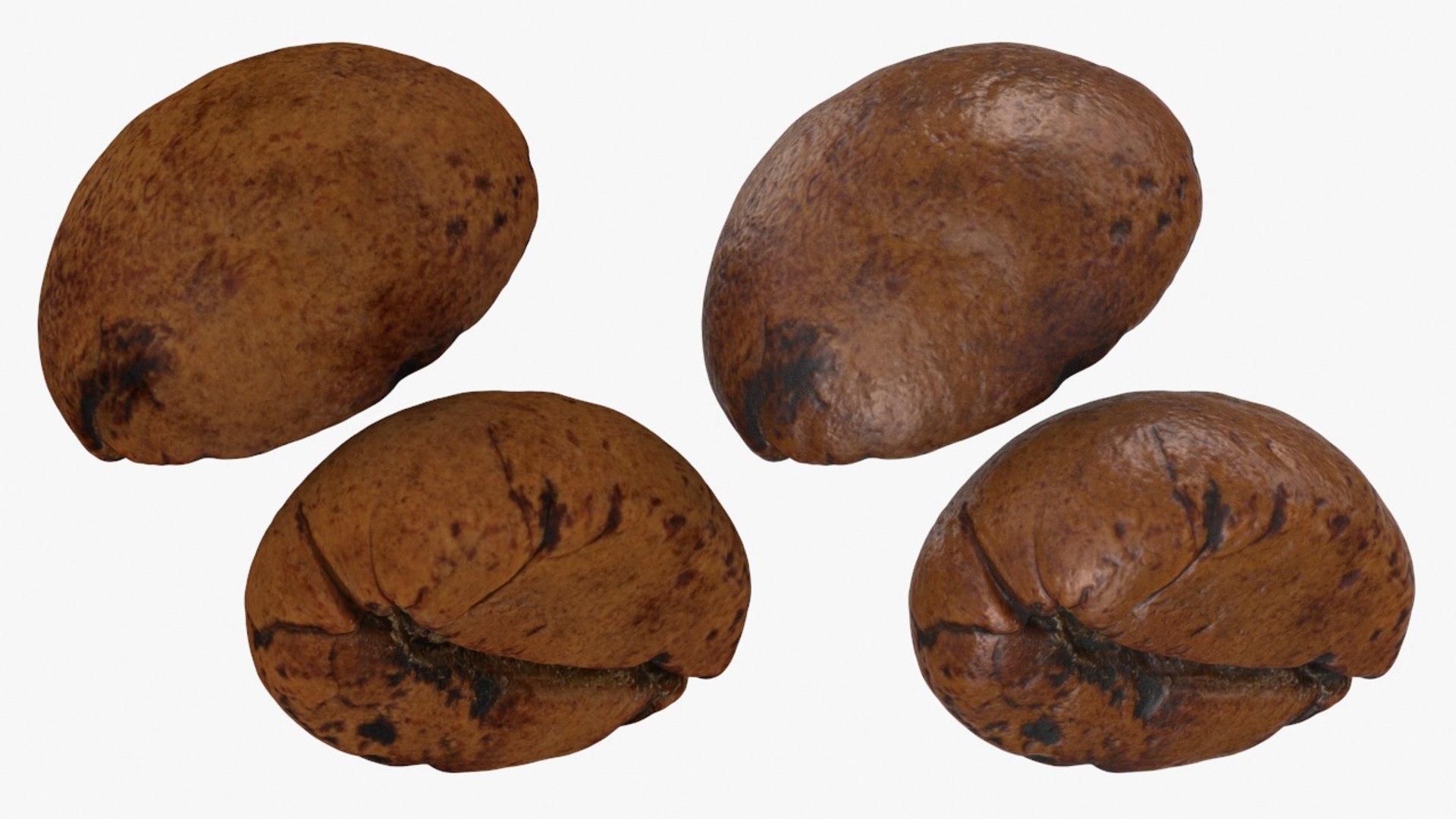 3D Coffee Bean 04 https://p.turbosquid.com/ts-thumb/RN/VXpc7i/Zm/coffeebean04_a0003/jpg/1727008761/1920x1080/fit_q87/6e21c649f11c44e2b379446c3bc13eddb007119f/coffeebean04_a0003.jpg