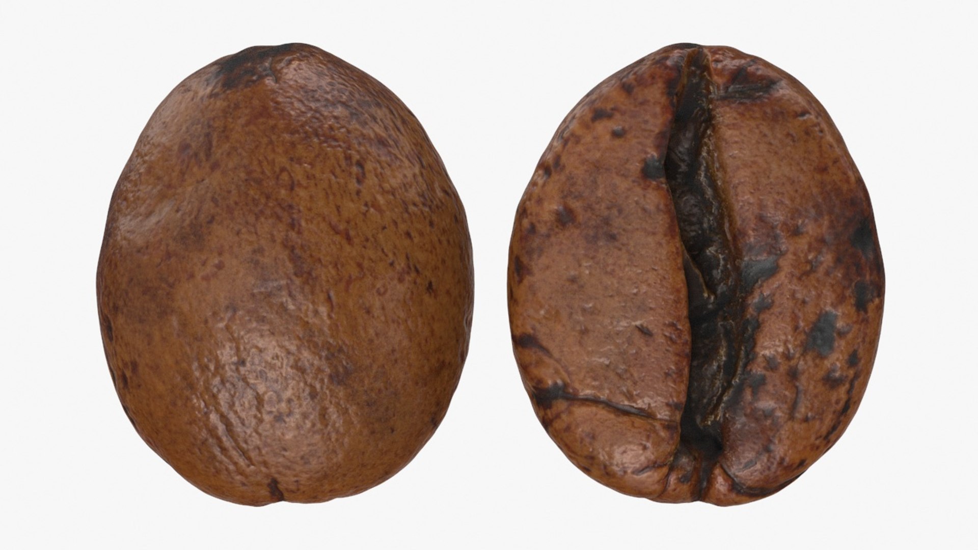 3D Coffee Bean 04 https://p.turbosquid.com/ts-thumb/RN/VXpc7i/qn/coffeebean04_a0002/jpg/1727008760/1920x1080/fit_q87/a64861b9f2477c2f4095afca63f353db0882a11f/coffeebean04_a0002.jpg