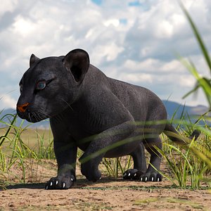 Black Panther Cub Rigged
