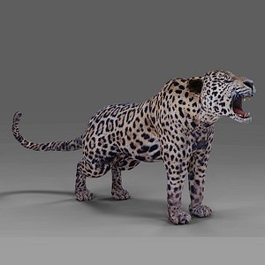 Jaguar V01 Rigged and Animation in Blender Unity