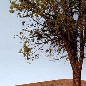 Ultra Low Poly Tree