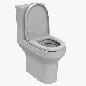 Toilet with toilet seat