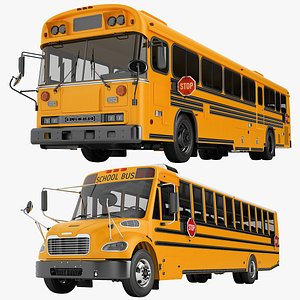 School Bus Collection 01 3D