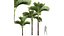 New Plant High detail Areca Catechu Decorative Garden