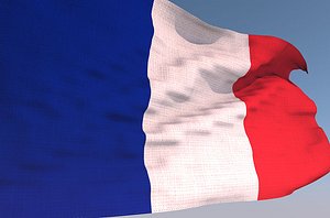 3D france waving flag animation