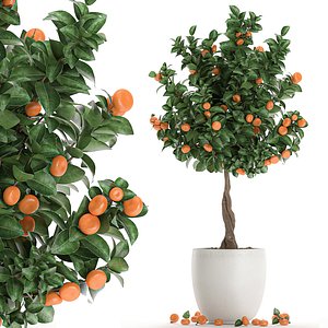 decorative tree interior white 3D model