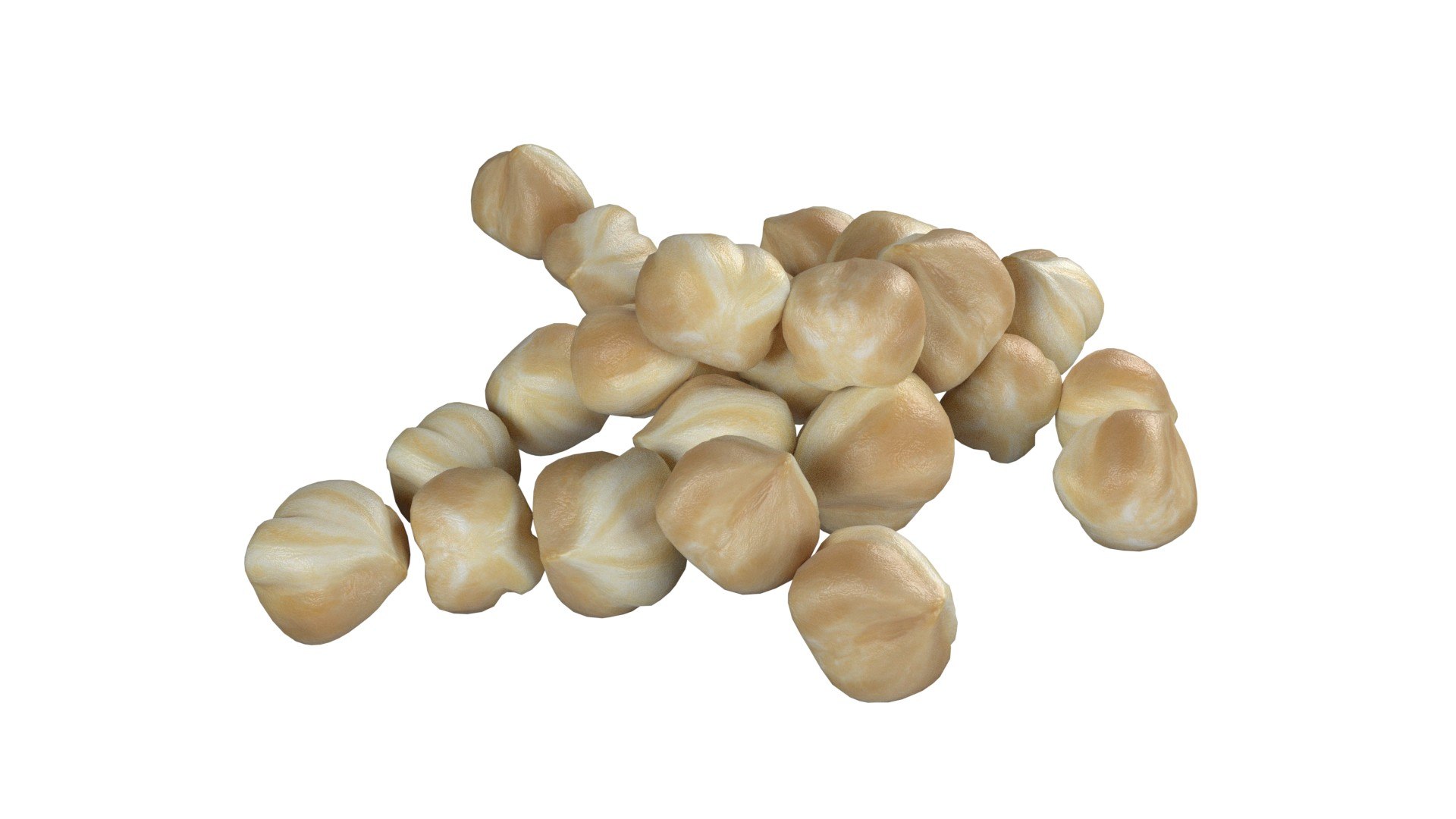 Hazelnut Mega Collection 3D - TurboSquid 2408175