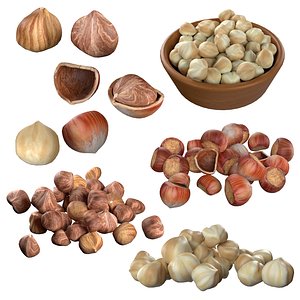 Hazelnut Mega Collection 3D
