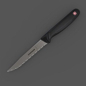 knife kitchen wenger grand 3D