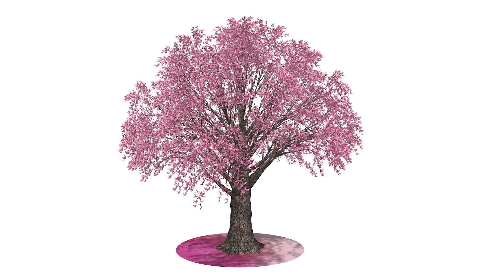 3D Pink Tree - TurboSquid 1693652