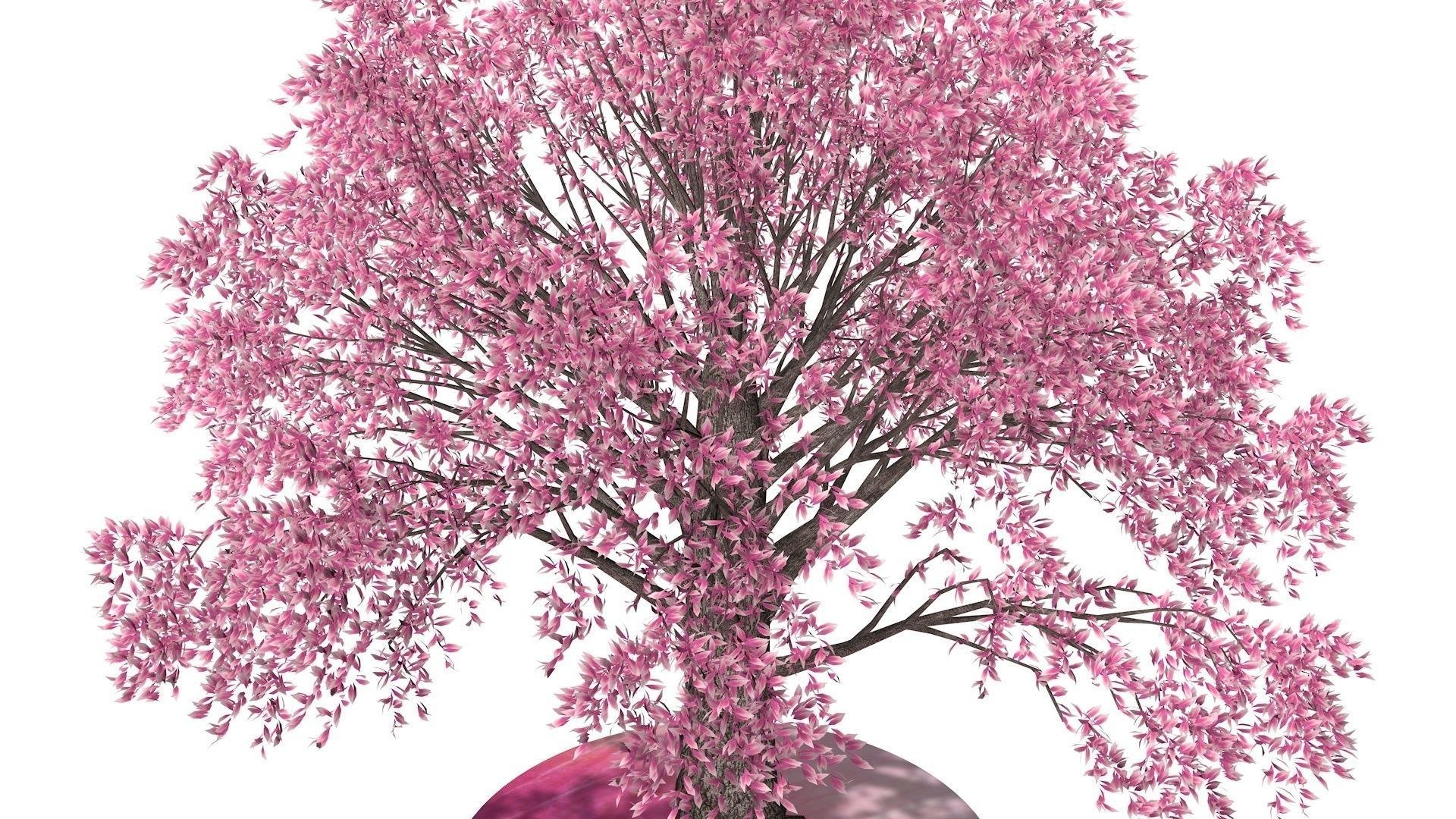 3D Pink Tree - TurboSquid 1693652